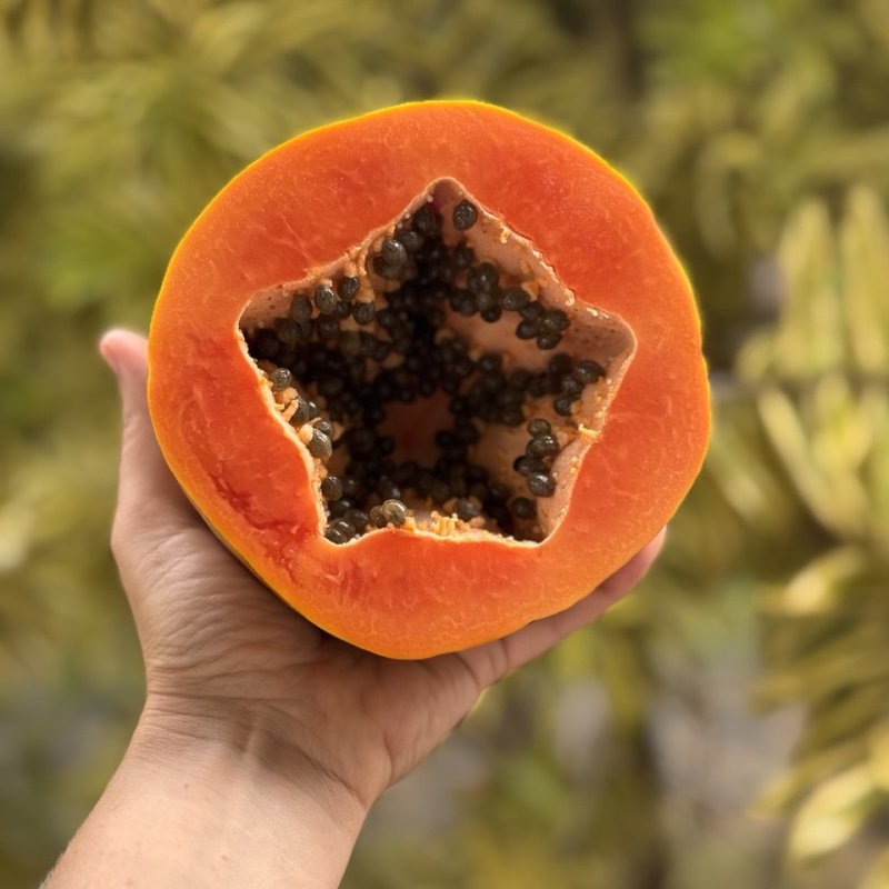 СЕРДЦЕ ШРИ-ЛАНКИ. Дыхание океана