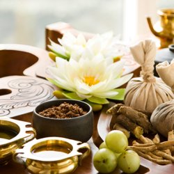 Панчакарма. Индия. Керала - День 1