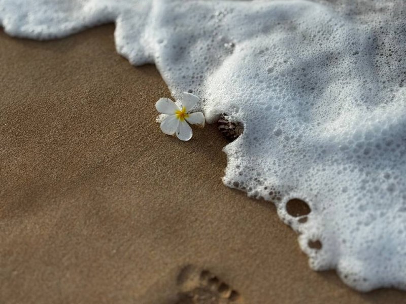 Магия Шри-Ланки